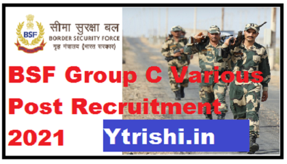 BSF Group C Various Post Recruitment 2021