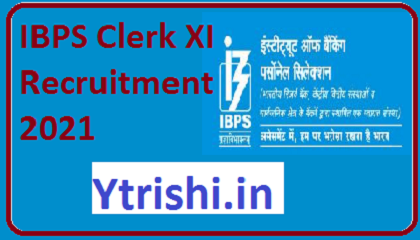 IBPS Clerk XI Recruitment 2021