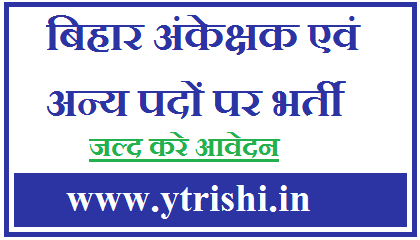 Bihar Auditor And Various Post Recruitment 2021