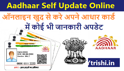 Aadhaar Self Update Online