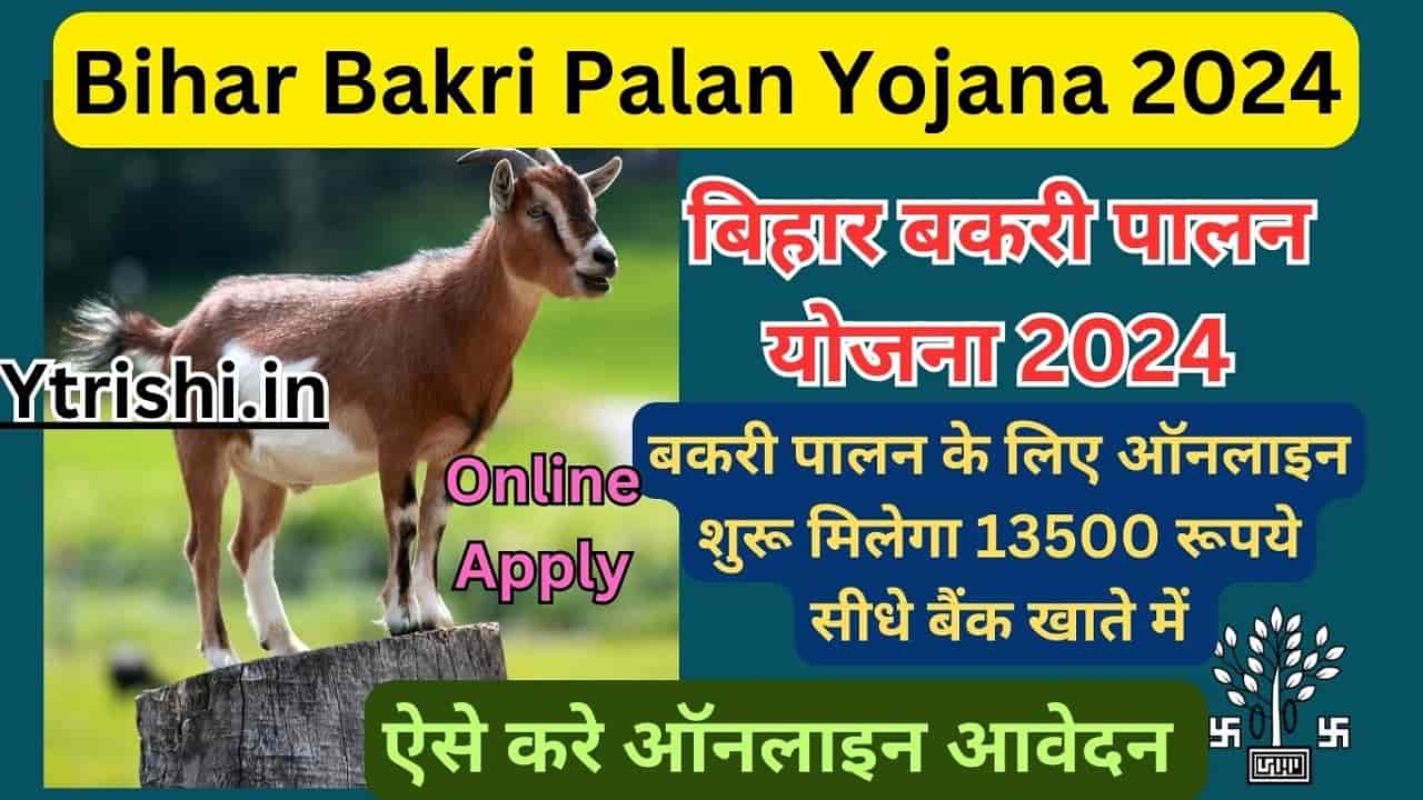Bihar Bakri Palan Yojana 2024