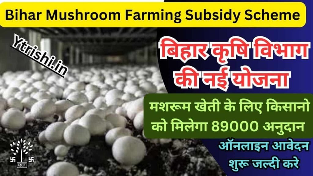 Bihar Mushroom Farming Subsidy Scheme