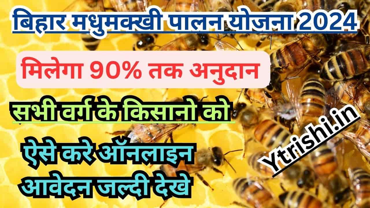 Bihar Madhumakhi Palan Yojna 2024