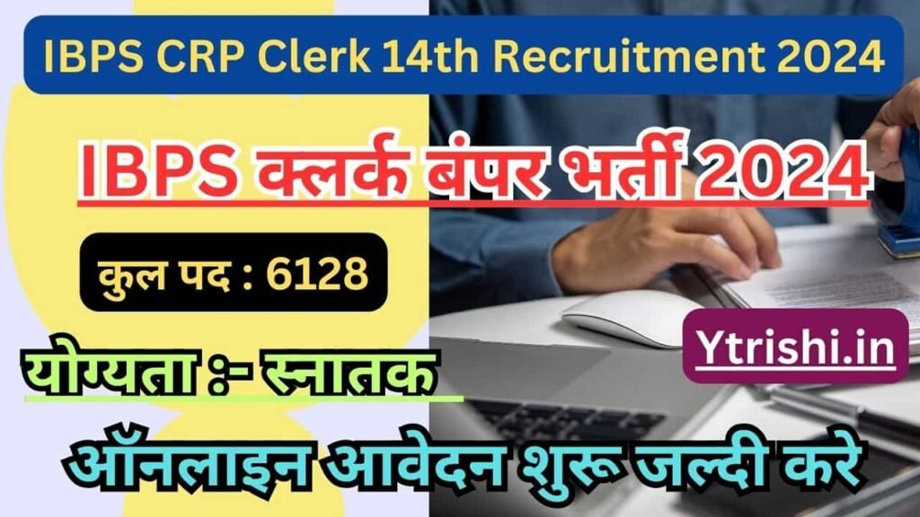 IBPS CRP Clerk 14th Recruitment 2024