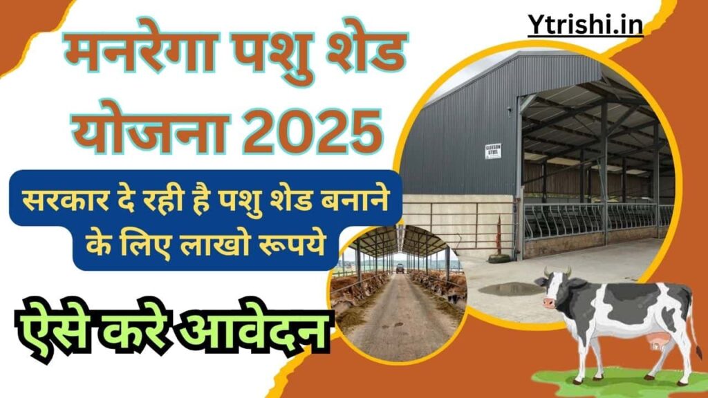 MGNREGA Pashu Shed Yojana 2025