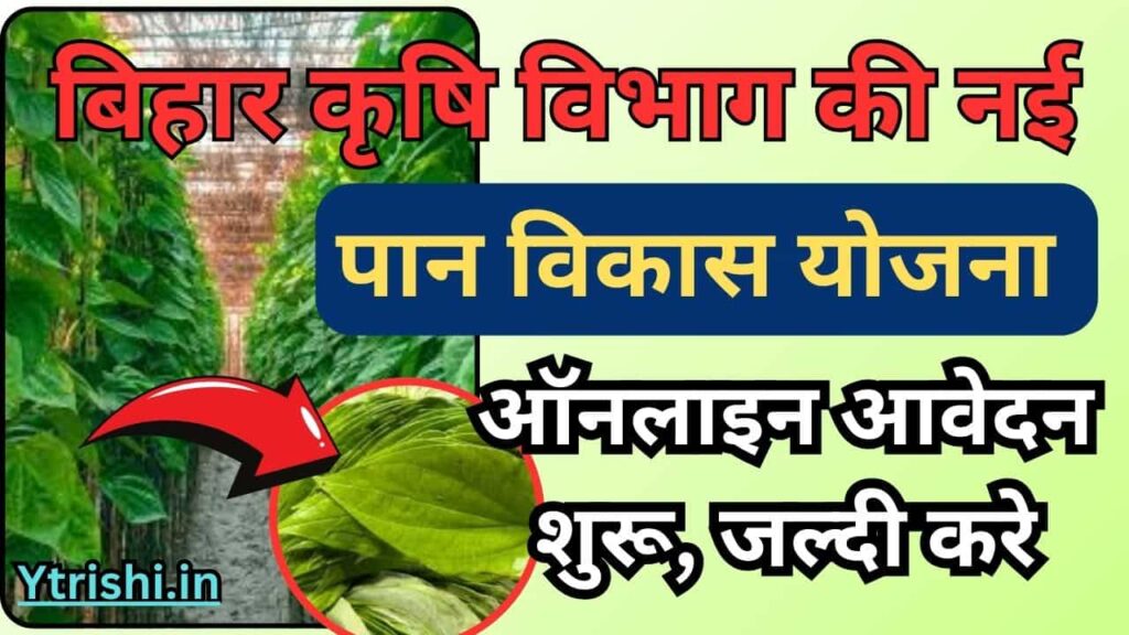 Bihar Pan Vikas Yojana 2025