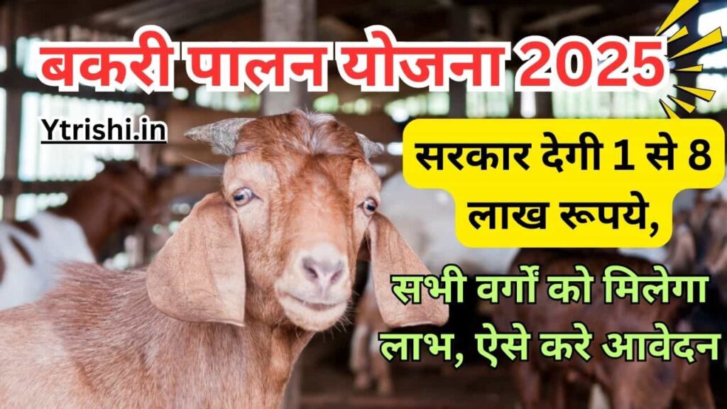 Bihar Bakri Palan Yojana 2025