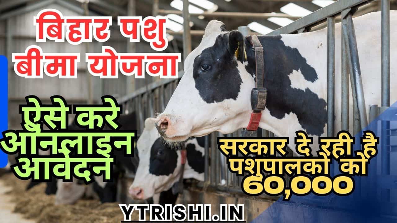 Bihar Pashu Bima Yojana 2025