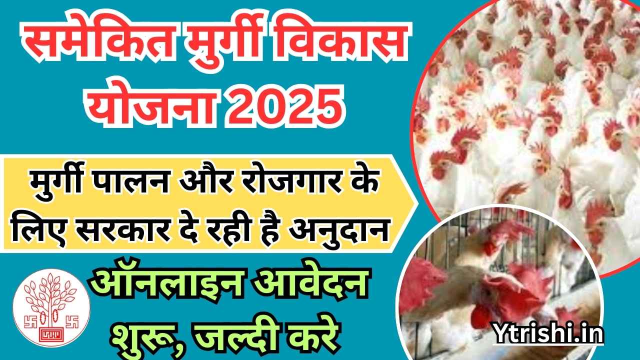 Bihar Murgi Palan Yojana 2025 Online Apply