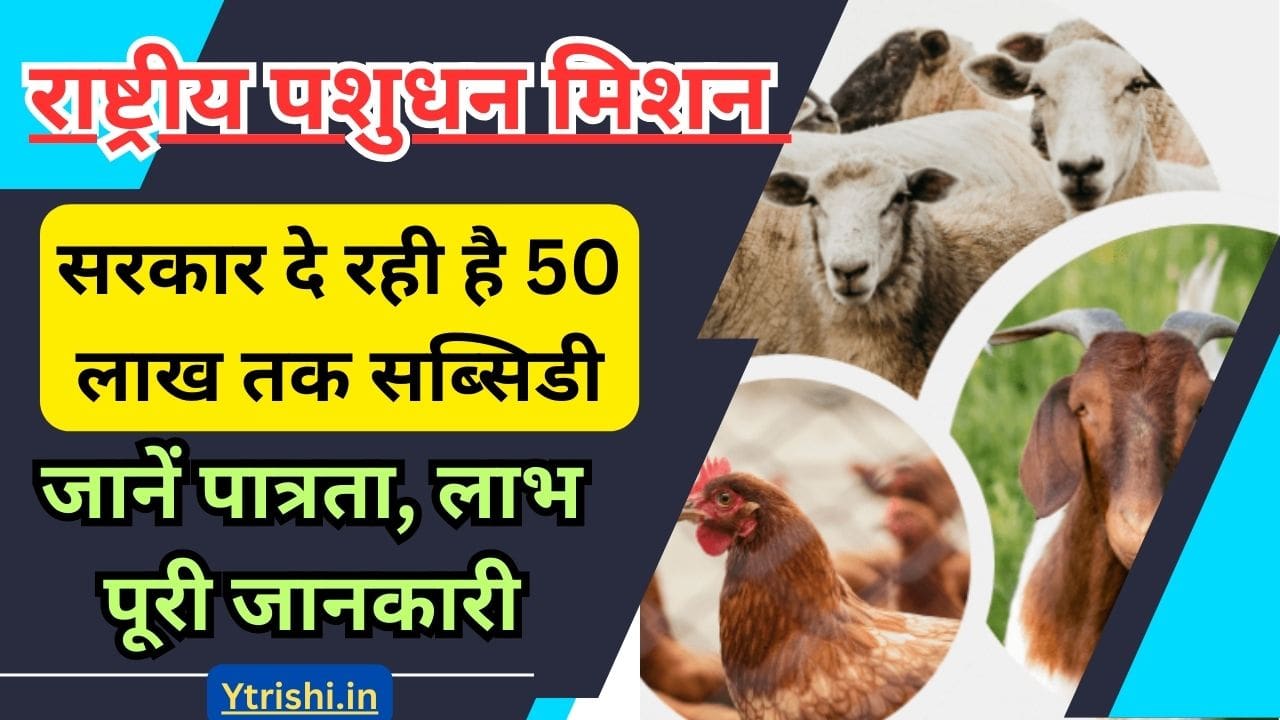 Rashtriya Pashudhan Mission Scheme 2025