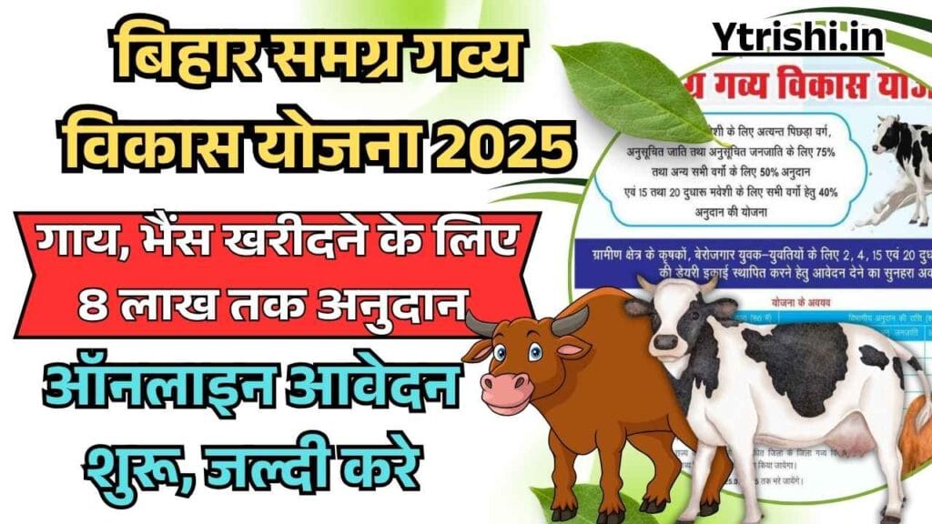 Bihar Samagra Gavya Vikas Yojana 2025