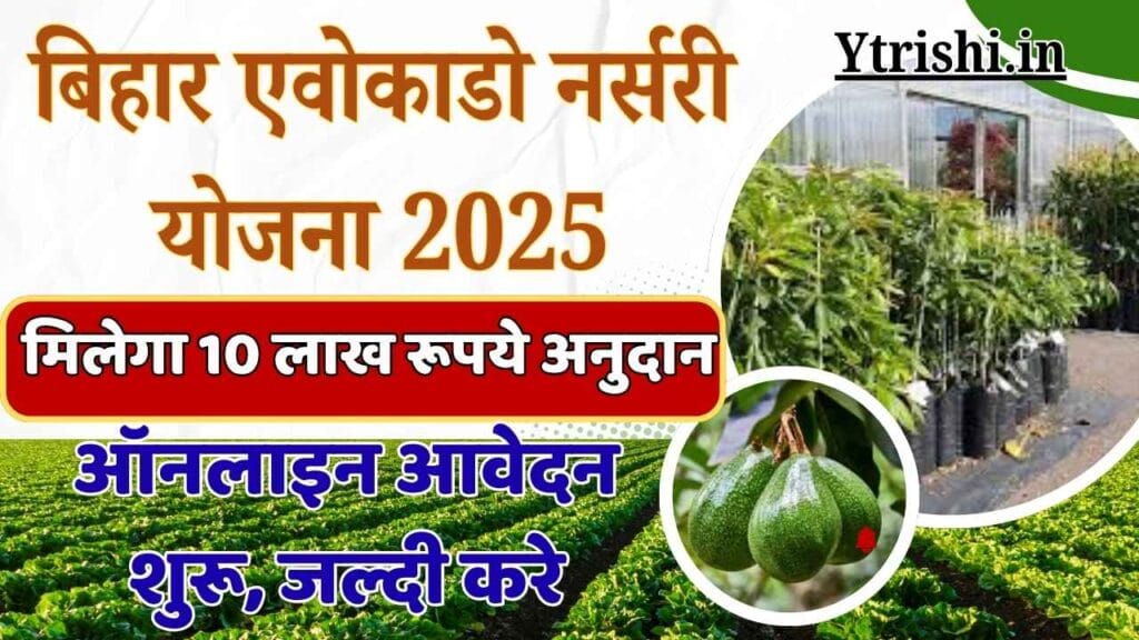 Bihar Avocado Nursery Yojana 2025