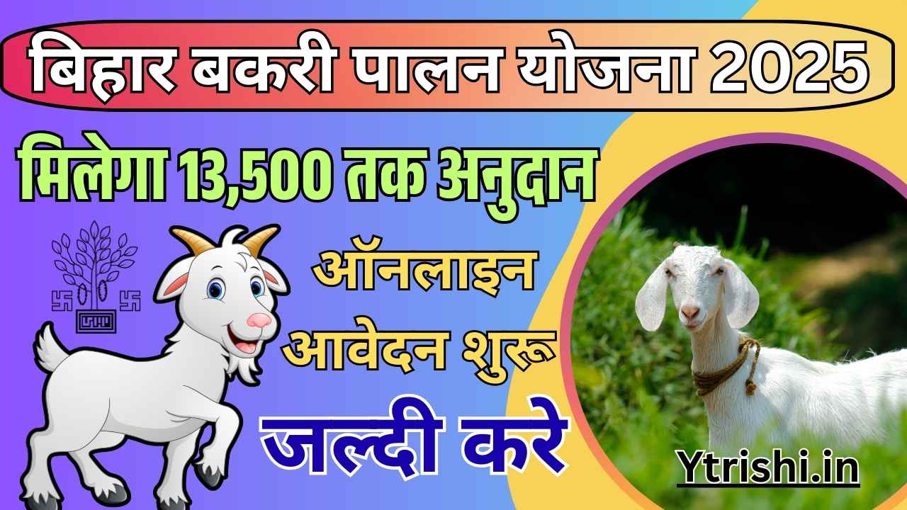 Bakri Palan Yojana 2025
