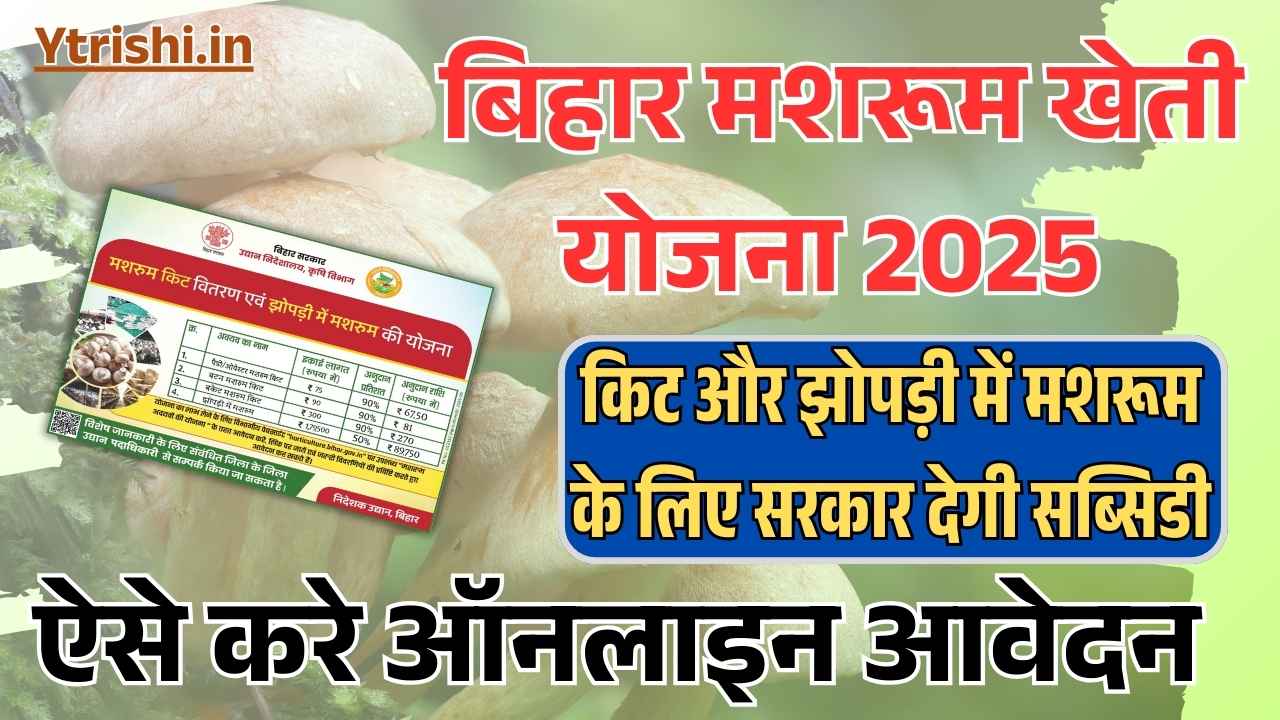 Bihar Mushroom Subsidy Yojana 2025