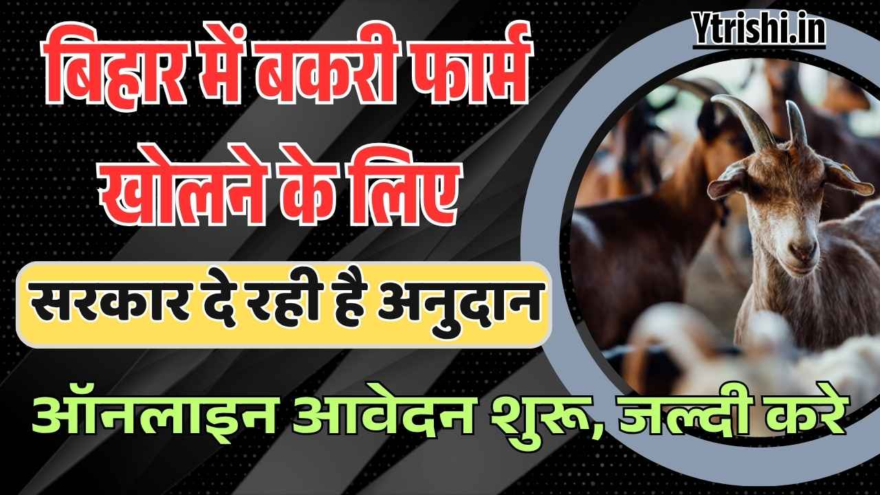 Bihar Goat Farm Yojana 2025