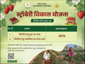 Bihar Strawberry Vikas Yojana 2026